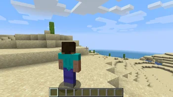 Скриншот Shoulder Surfing Reloaded 5