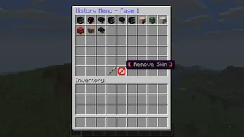 Скриншот SkinsRestorer 4