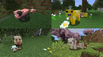 Vanilla++