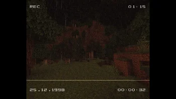 VHS Overlay