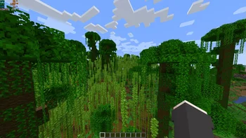 Скриншот VulkanMod 2