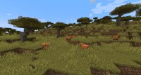 Minecraft 1.21.5 — последняя версия Майнкрафт