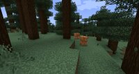 Minecraft 1.21.5 — последняя версия Майнкрафт