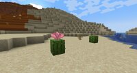 Minecraft 1.21.5 — последняя версия Майнкрафт
