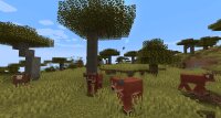 Minecraft 1.21.5 — последняя версия Майнкрафт