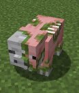 мод Suspicious Zombification