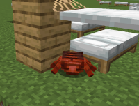 мод Sleep Tight