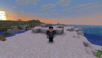 Elytra Trinket Updated