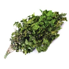 Питоспорум стабилизированный/ Pitosporum
