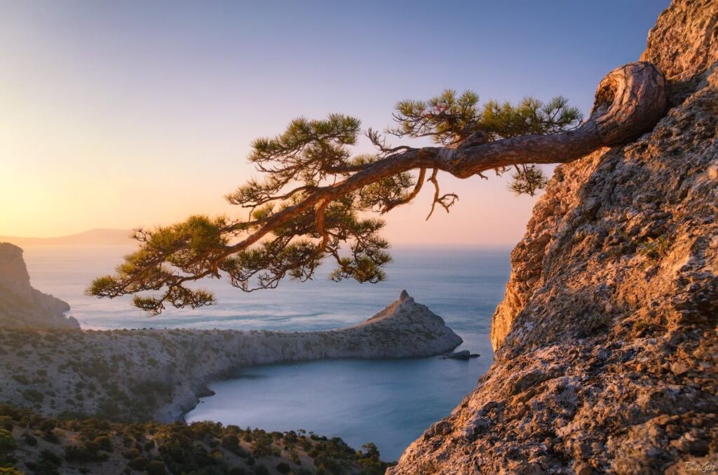 Какие опасности могут подстерегать туристов в Крыму