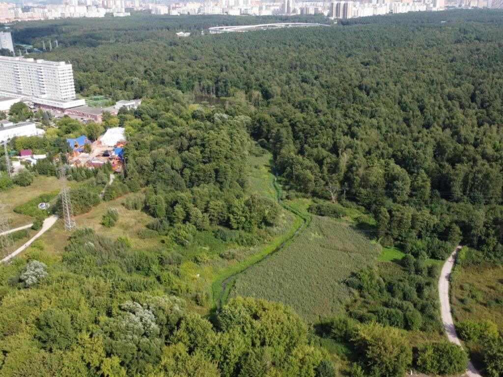 В парке «Кузьминки-Люблино» очистят от ила реку Чурилиху
