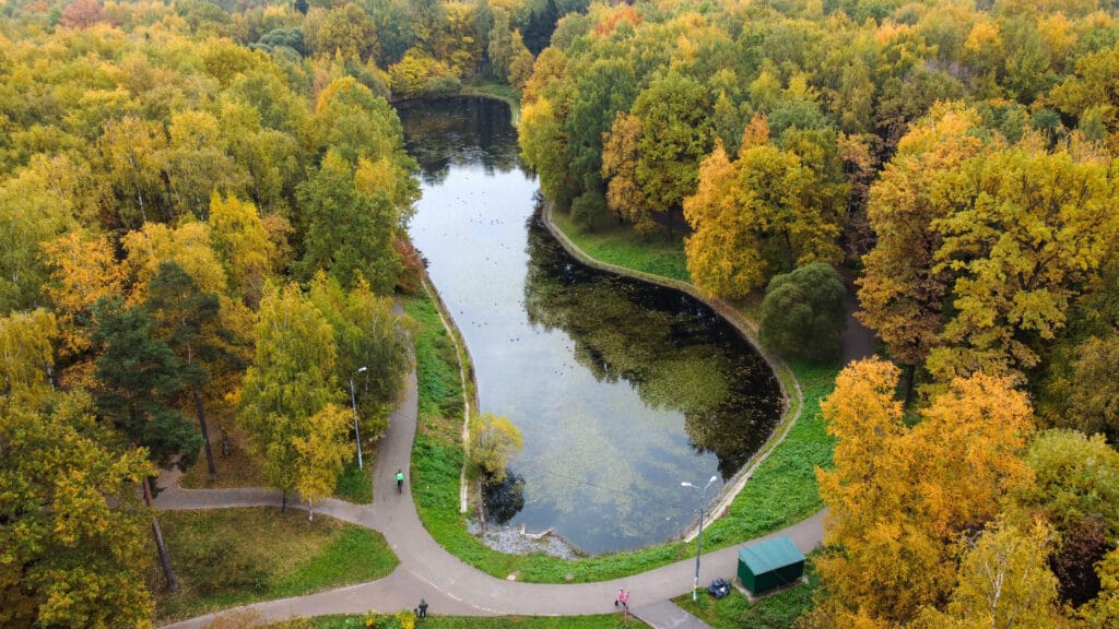 Лианозовский пруд