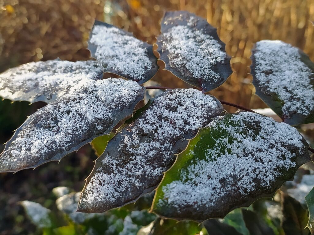 снег, погода