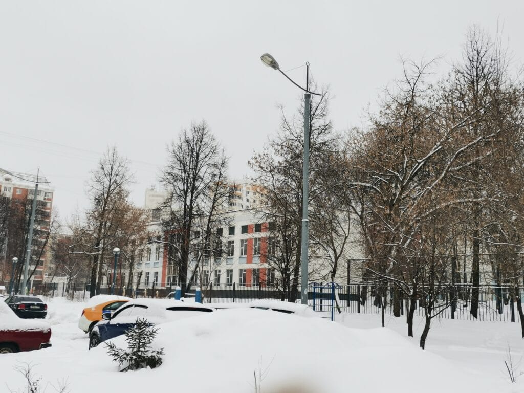 школа образование зима смойкина