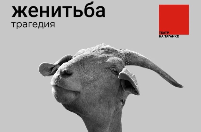Зачем люди женятся