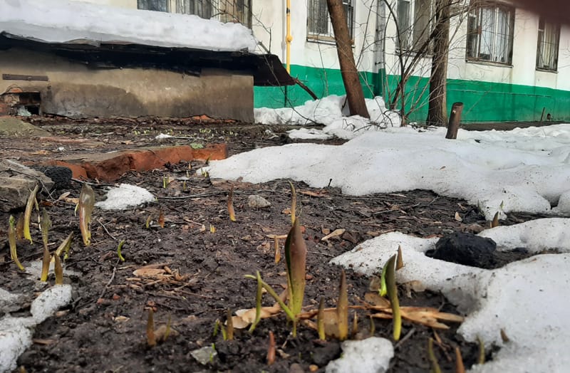 Весну узнаем по приметам