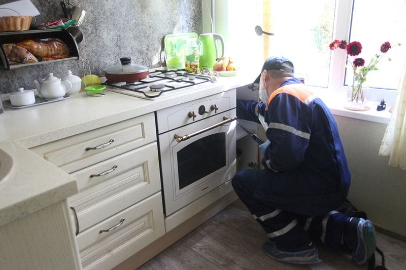 Фото из личного архива Владимира Девятова