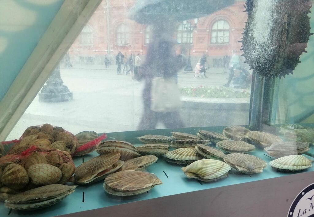 Дождливая погода не испугала гостей фестиваля «Рыбная неделя»