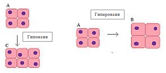воспаление