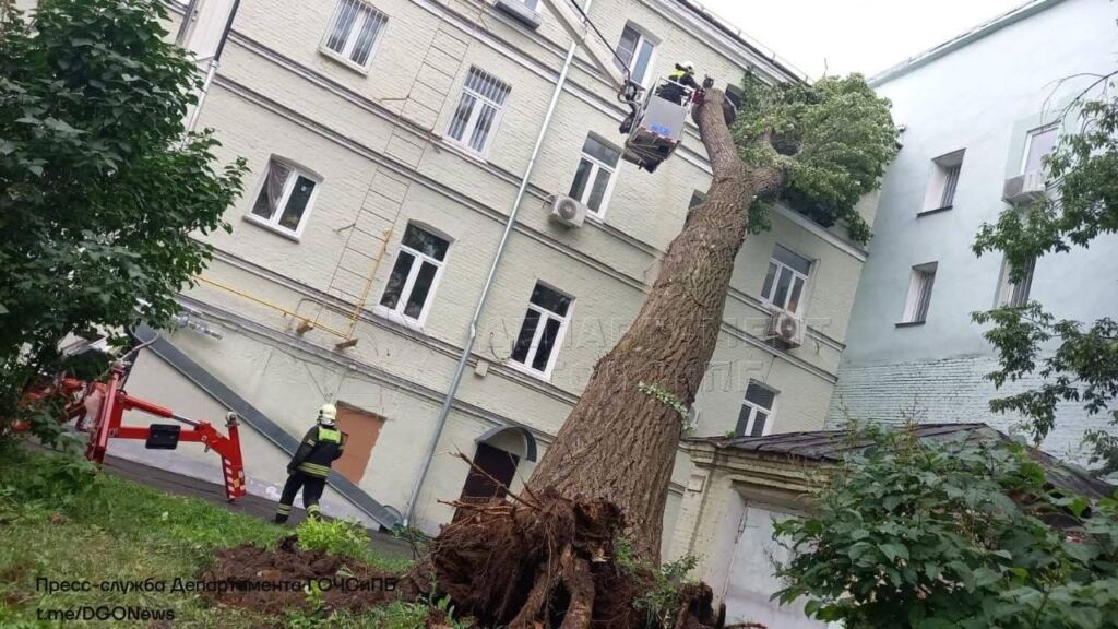 В Малом Каретном переулке старый тополь упал на жилой дом