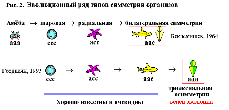 левши