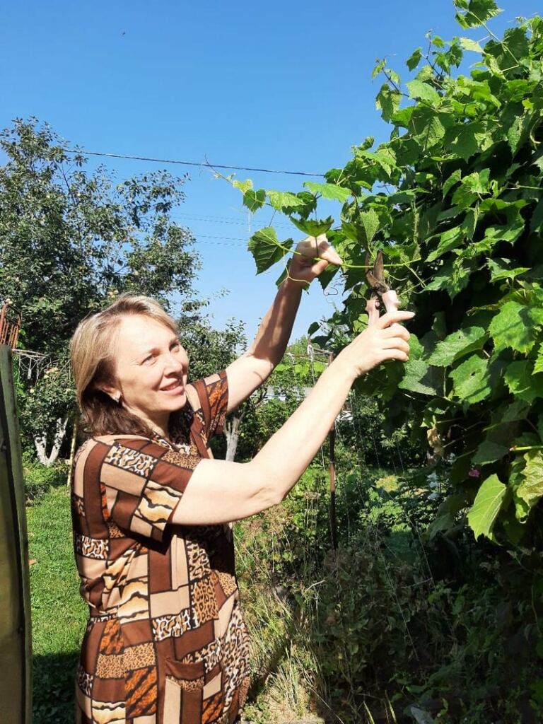 сад, огород, лето, фото Алина Фёдорова