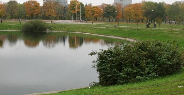 65 лет назад в Москве был заложен парк Дружбы