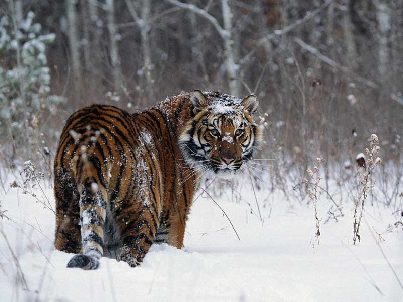 Эксперт назвала три главные экологические угрозы ближайших 30 лет