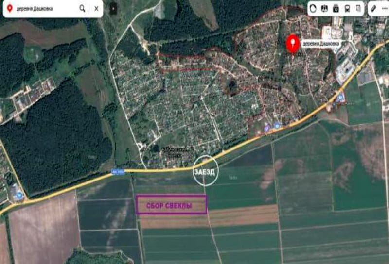 Москвичи могут бесплатно запастись свеклой
