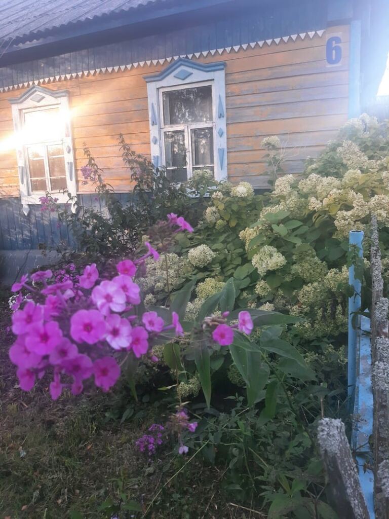 Сентябрьские заботы садоводов