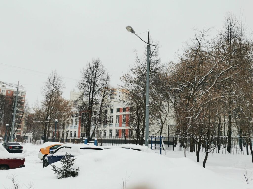 Стали известны подробности включения арабского языка в школьную программу