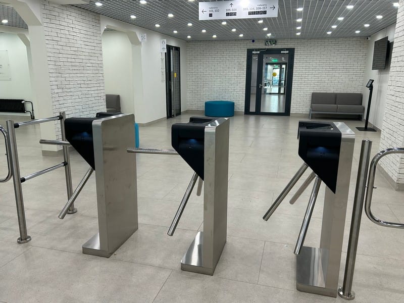 Школа дети от Моны