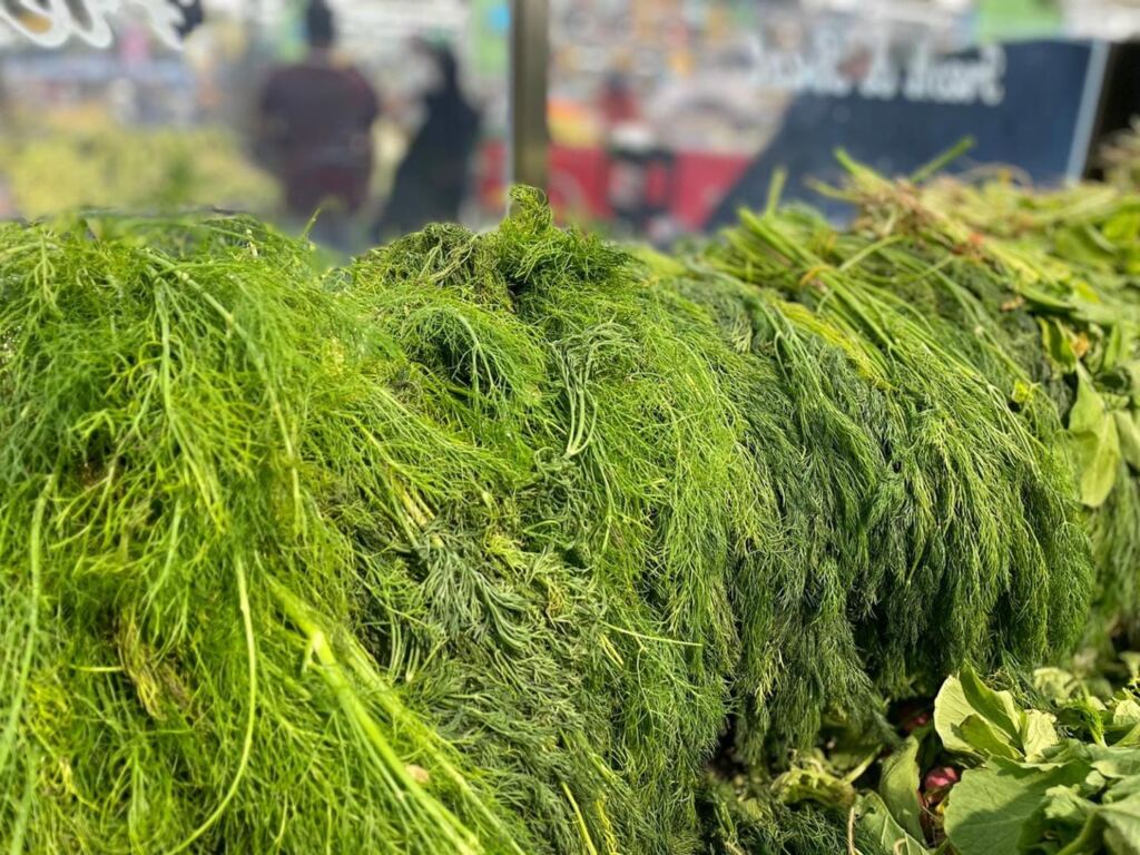 укроп, зелень, еда, продукты, фото Наталия Бахарева