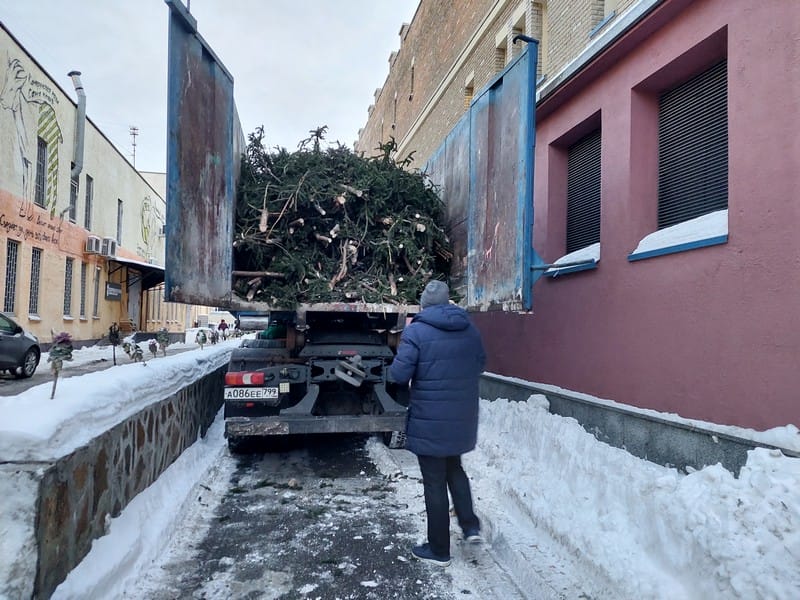 Акция «Елочный круговорот» продлится до 28 февраля