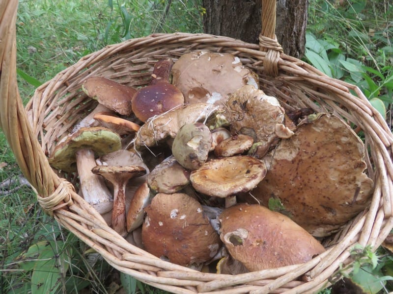 Лубянский гример, фото Елена Булова