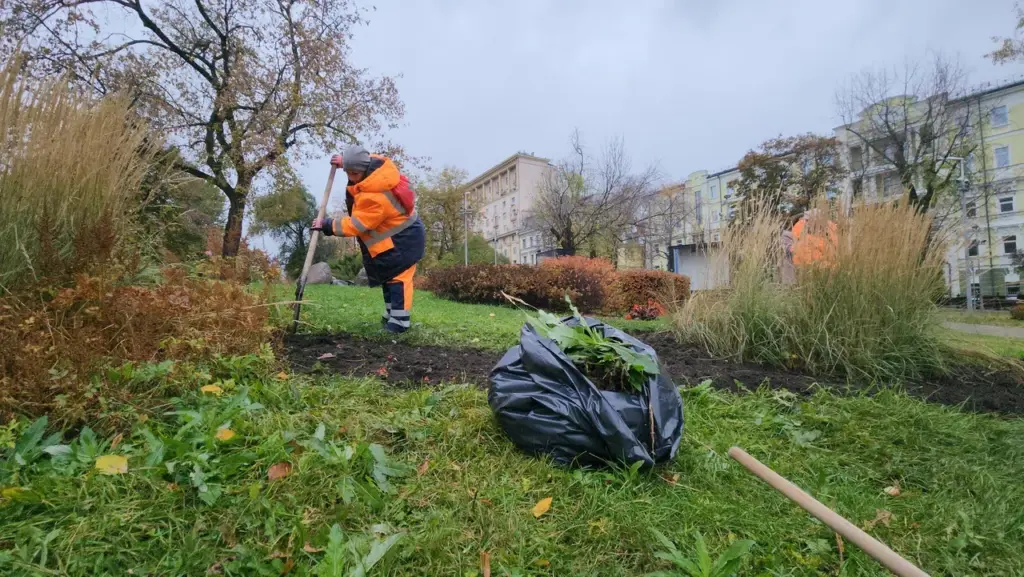 В Москве готовят городские цветники к зиме