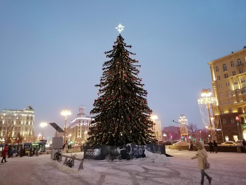 Новогодняя феерия во флористике и фитодизайне