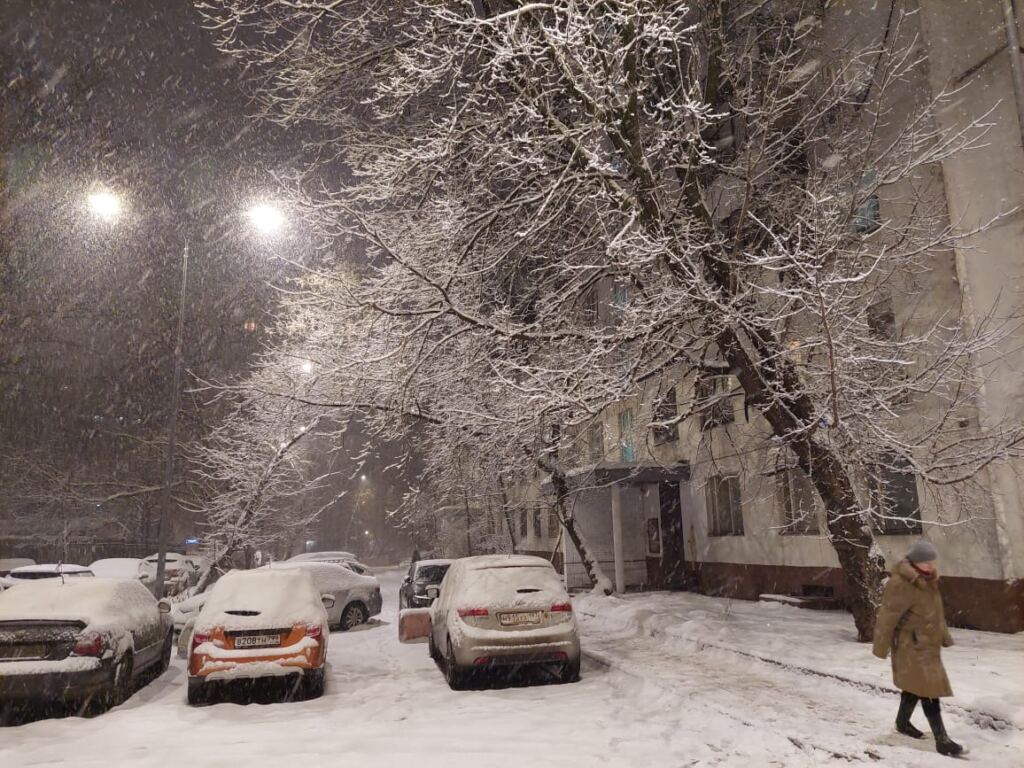 Мощный снегопад и ветер до 18 м/с ожидаются в Москве в ближайшие несколько суток