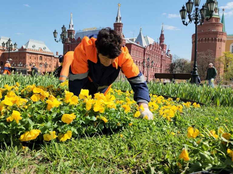 Клумбы в Москве готовы к высадке цветов