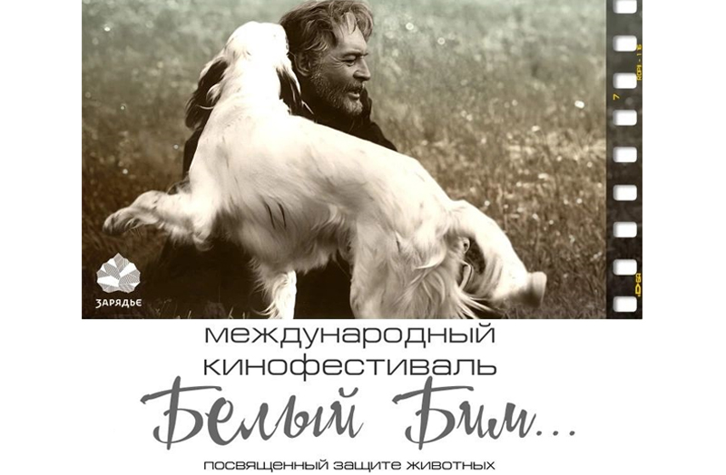 Дочь Вячеслава Тихонова кинопродюсер Анна Тихонова проводит в «Зарядье» фестиваль «Белый Бим»