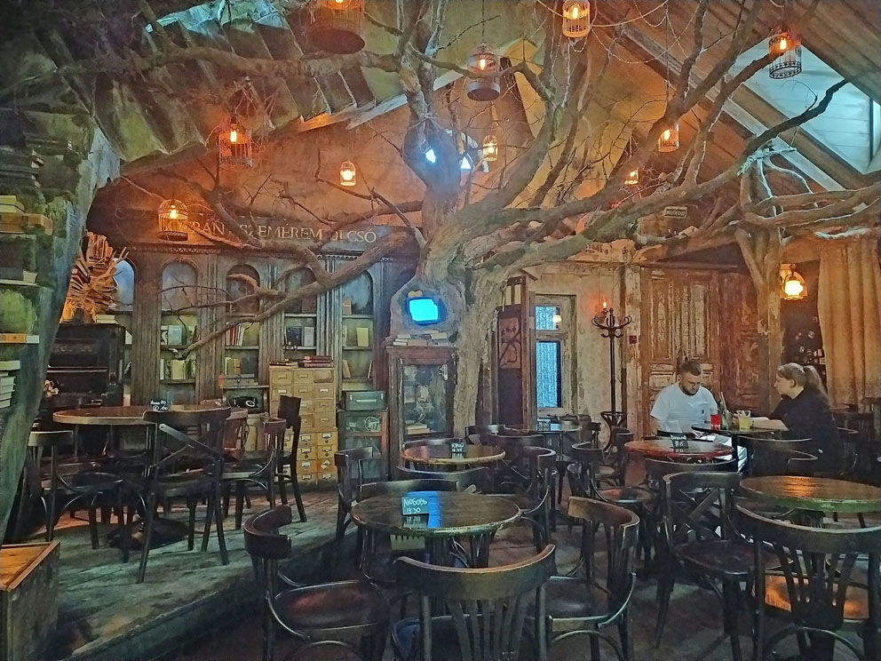 Бар, в котором…