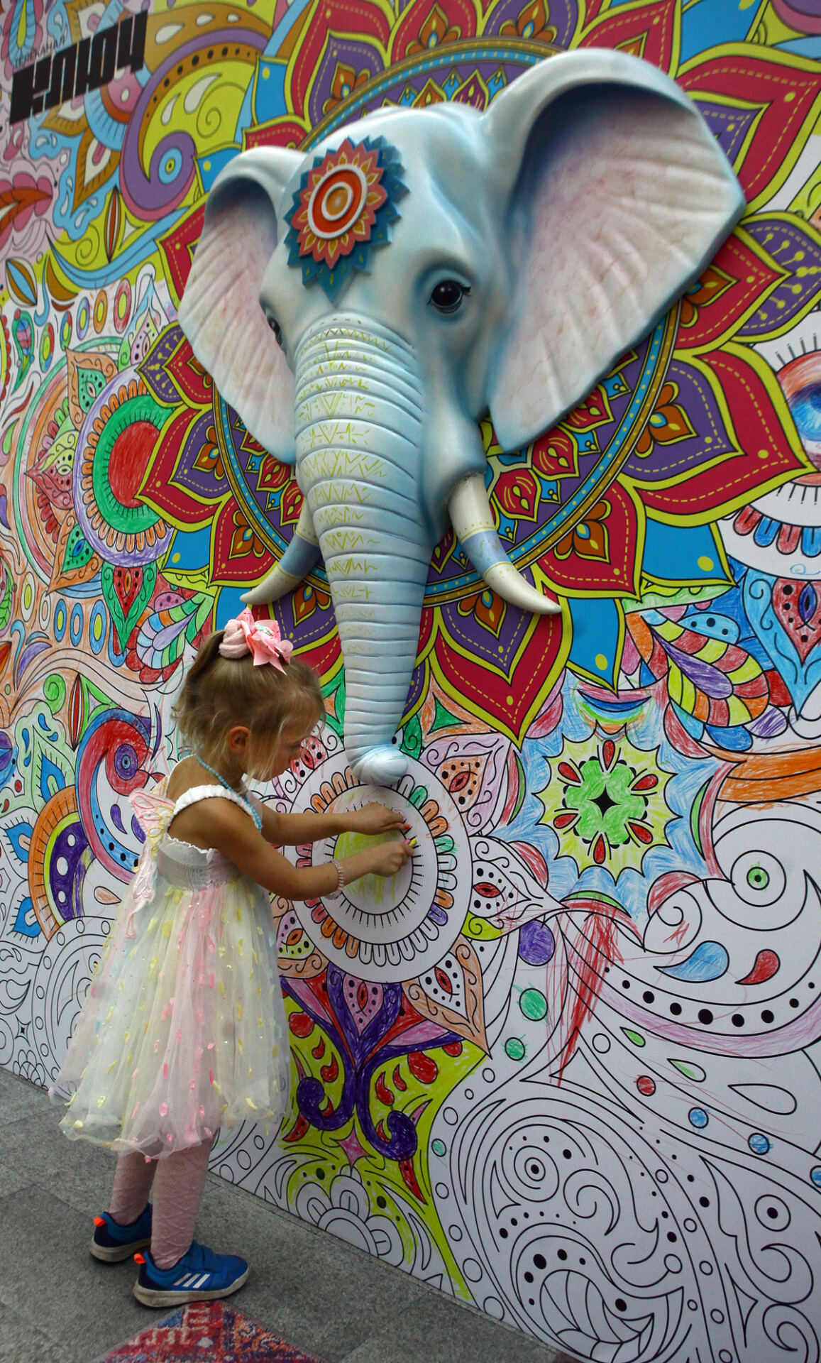 фестиваль индийской культуры. Фото Михаила Ковалёва
