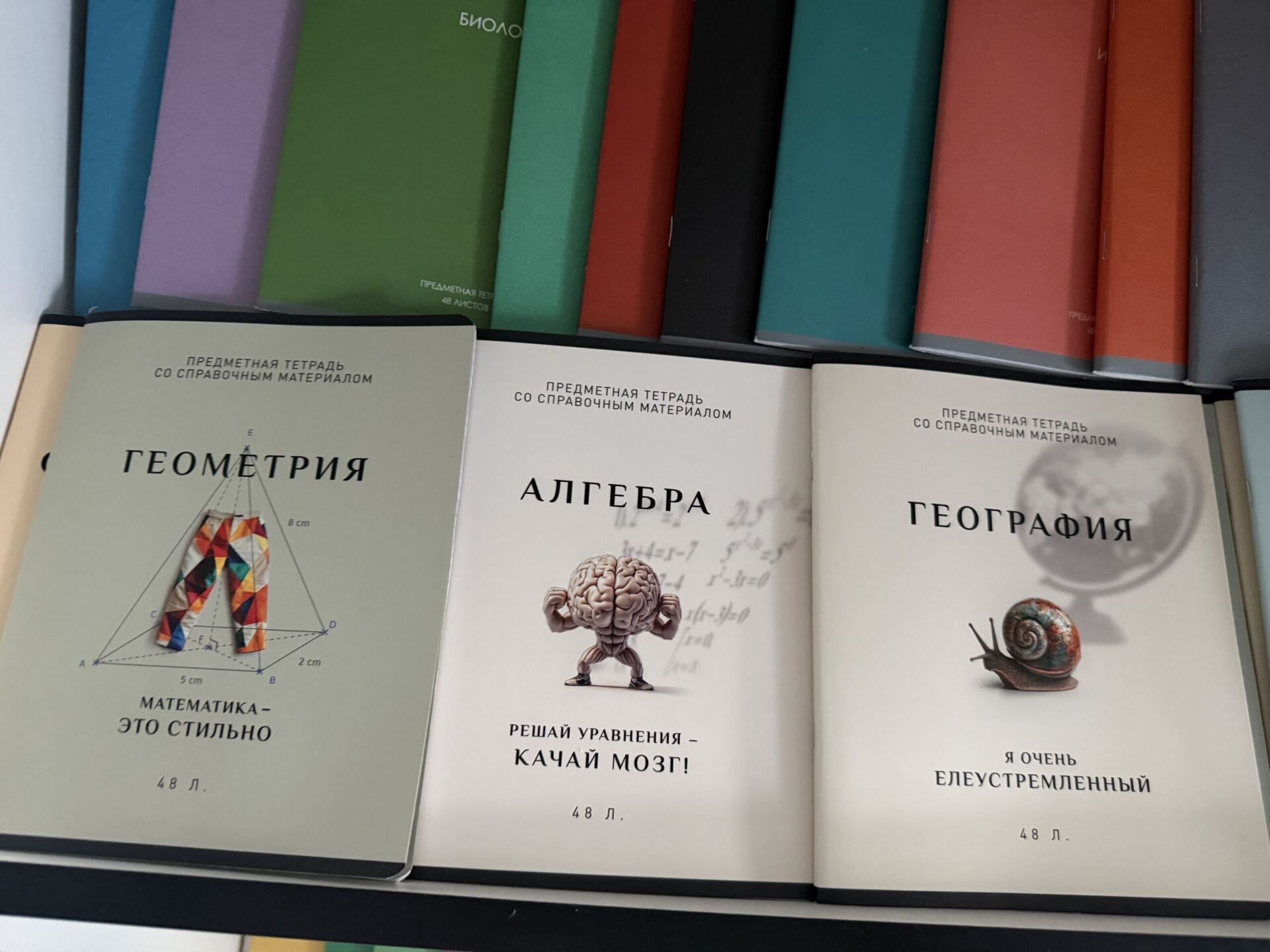 учебники тетради Фото Моны Платоновой