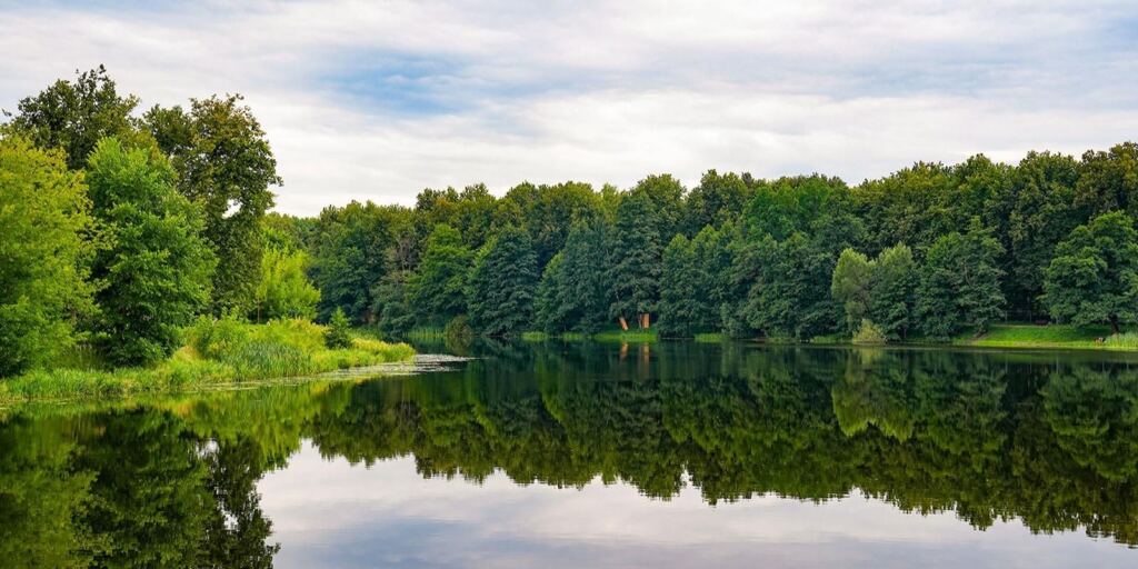 природа лето пруд Фото: пресс-служба комплекса городского хозяйства Москвы