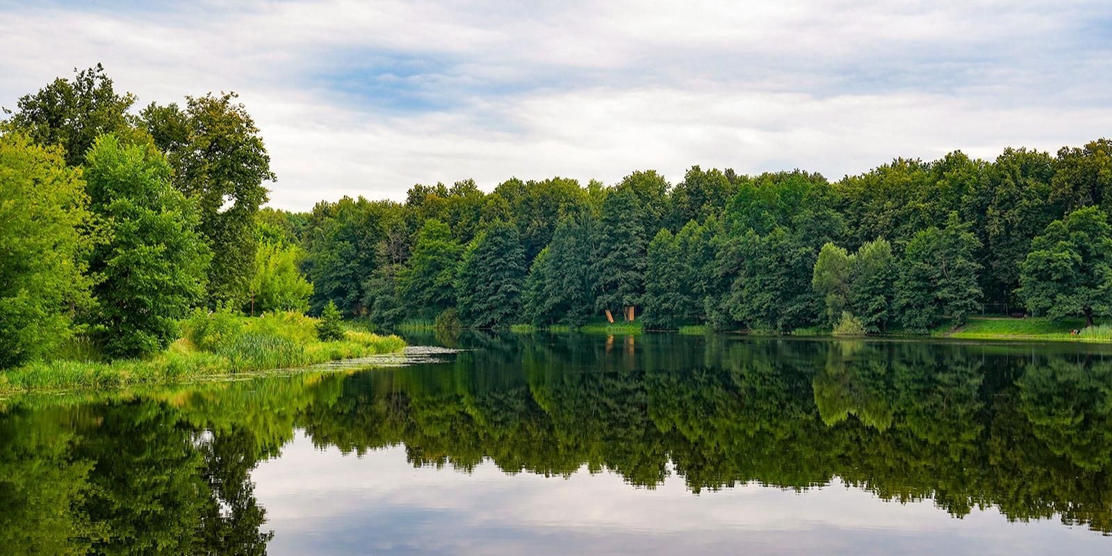 природа лето пруд Фото: пресс-служба комплекса городского хозяйства Москвы
