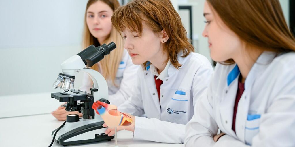 Предпрофессиональные классы набирают популярность, образование , школа Фото mos.ru