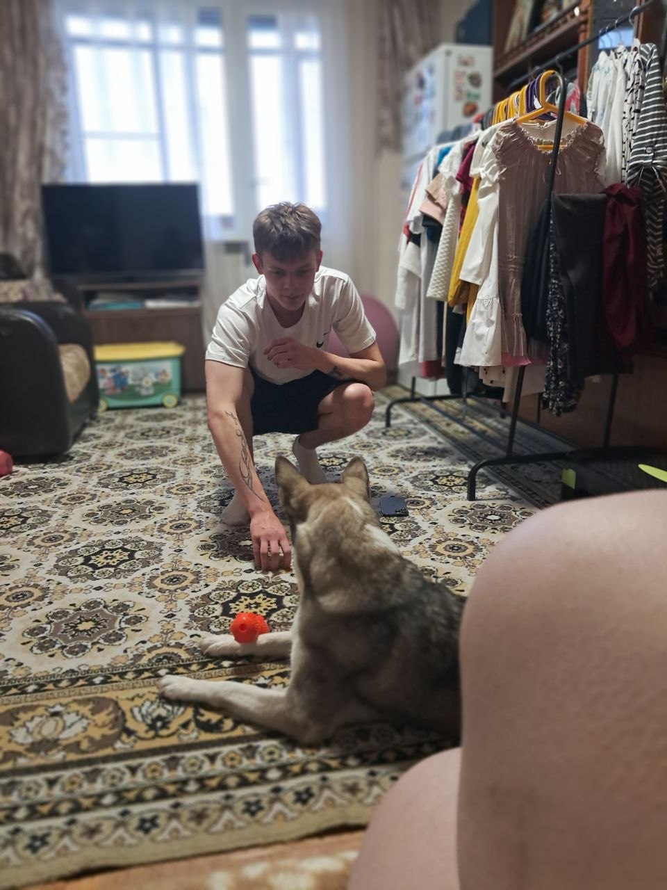 собака, Кнопа. Фото из архива Елены Сидоренко