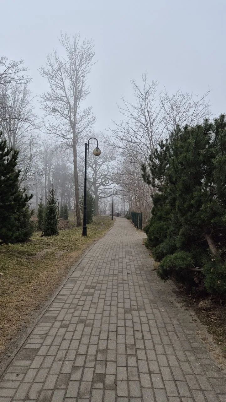 Калининград Фото Светланы Бочаровой, Оксаны Лукаевой