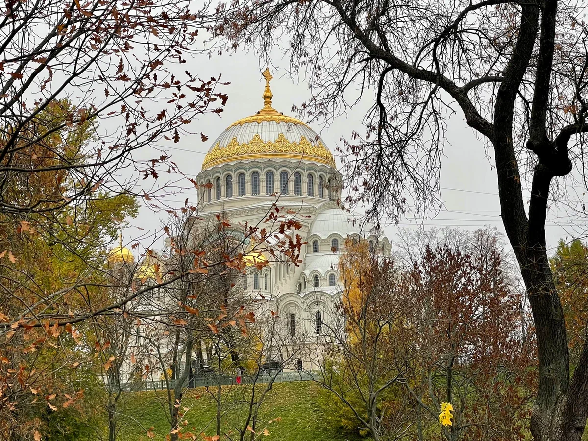 Фото Светланы Бочаровой