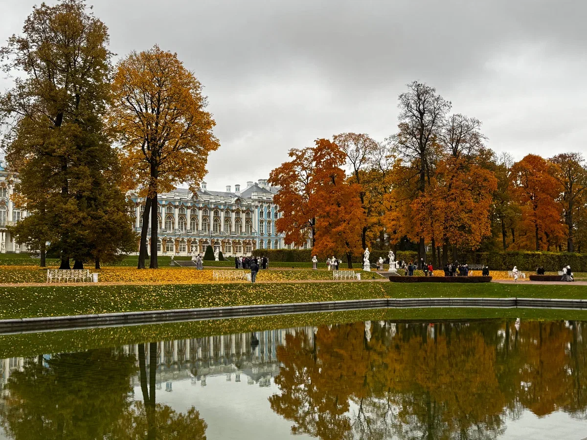 Фото Светланы Бочаровой